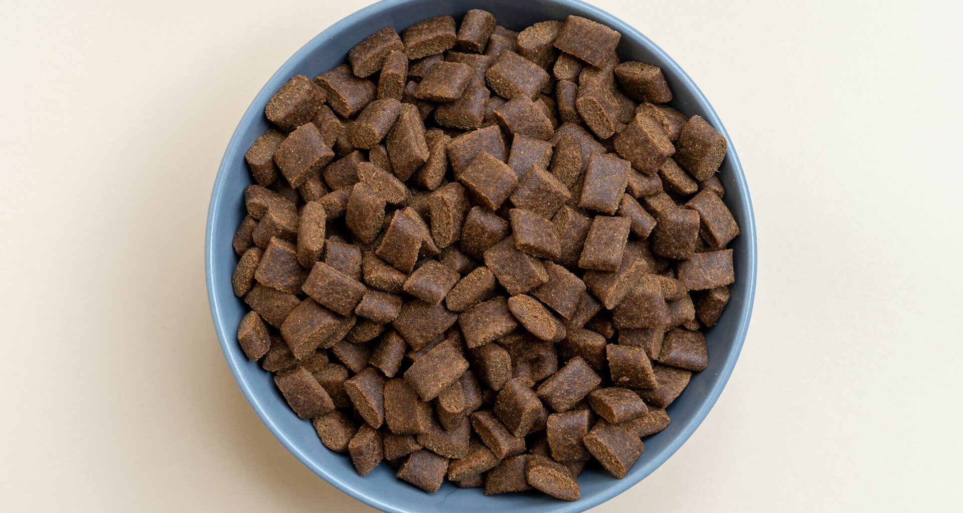 Jak liczymy ilość kalorii w karmie dla psa lub kota?