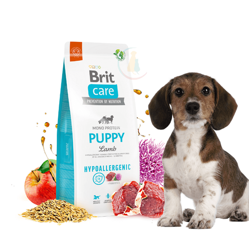 Brit Care Hypoallergenic Puppy Lamb 12kg