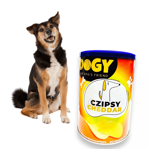 Dogy Czipsy Cheddar dla Psa 120g