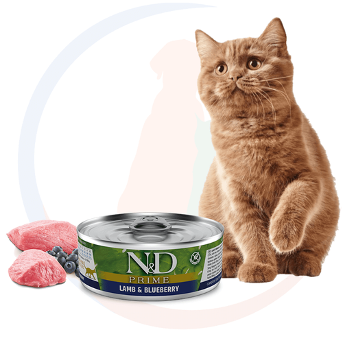 Farmina N&D Prime Lamb&Blueberry Mokra Karma dla Kota 80g