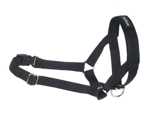 Amiplay Halter Basic dla Psa L