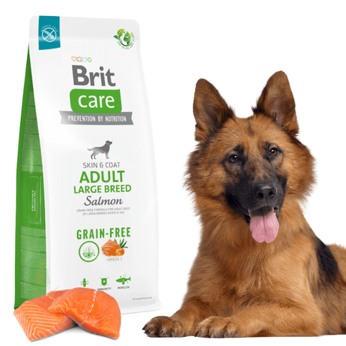 Brit Care Grain-free Adult Large Breed Salmon 12kg