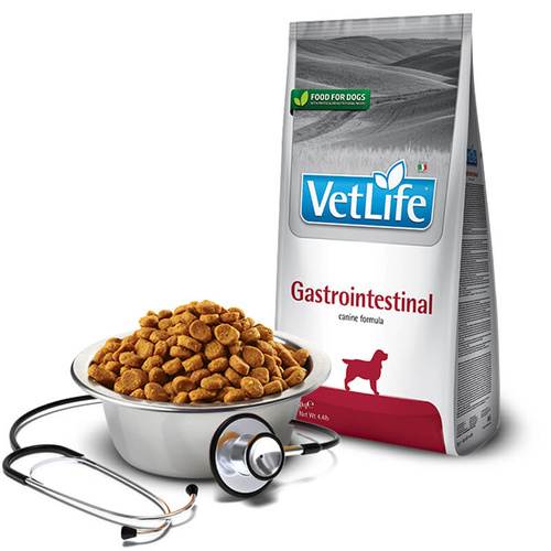 Farmina Vet Life Dog Gastrointestinal Sucha Karma 2 kg