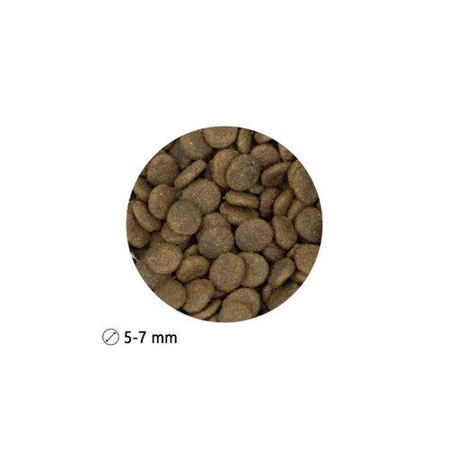 Prize Cavalier King Charles Adult Jagnięcina 2kg