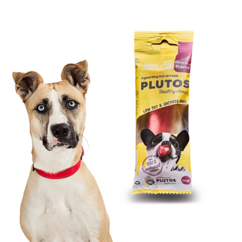 Plutos Chew Chorizo L