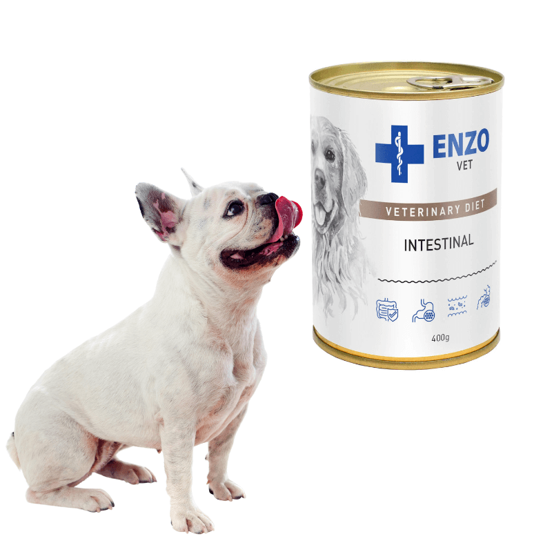 Enzo Vet Intestinal z Jagnięciną dla Psa 400g