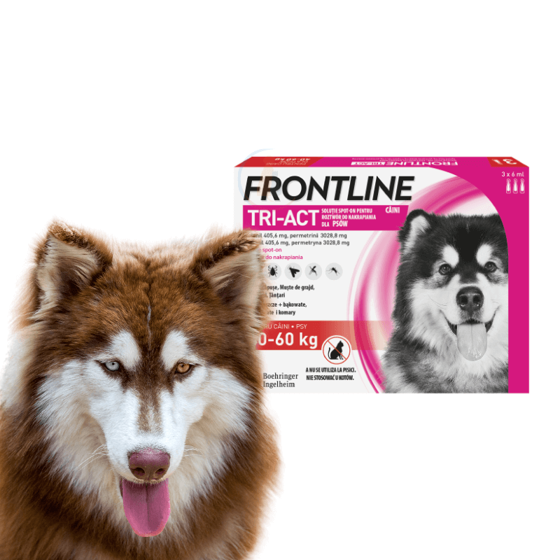 Frontline Tri-Act Spot On dla Psa XL 40-60kg 3 x 6ml