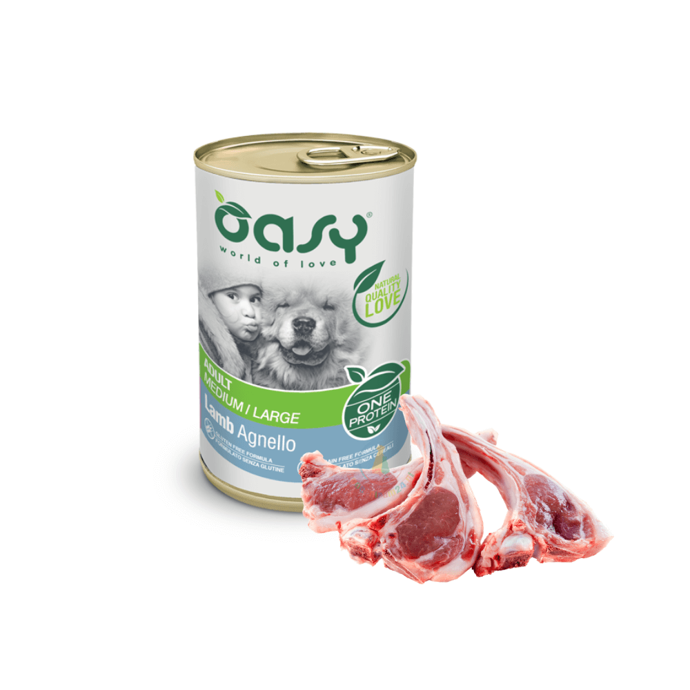 Oasy One Protein Adult Dog Lamb 400g