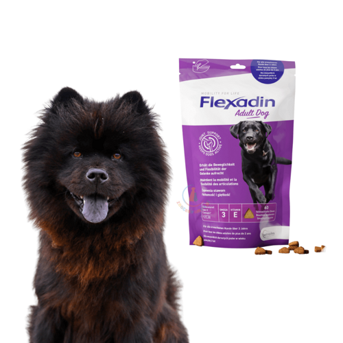 Vetoquinol Flexadin Adult Dog 60 kąsków 