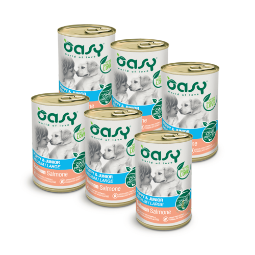 Zestaw Oasy One Protein Puppy&Junior Salmon 6 x 400g